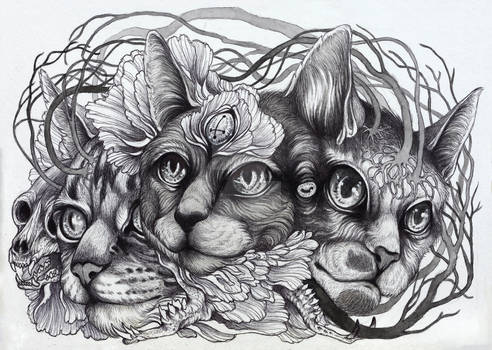 cat portrait commission