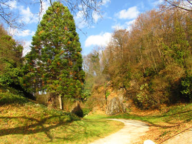 A path in Freiburg