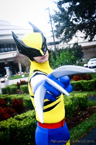 Classic Yellow Wolverine