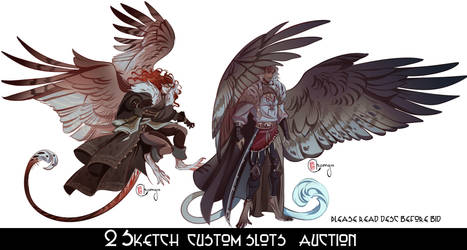 Custom SKETCH  auction  [Please read  desc]