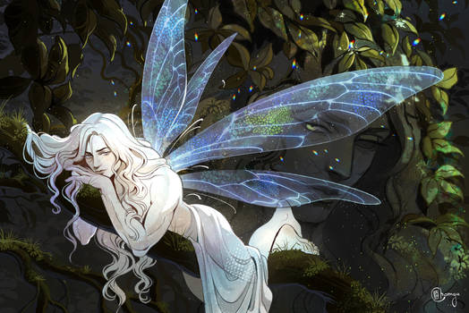 fairy