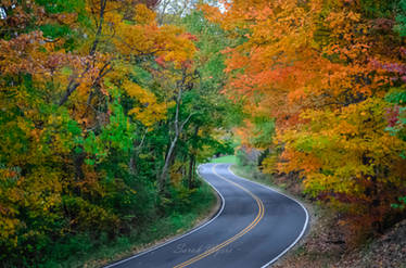 Mountain Lake Road in Autumn