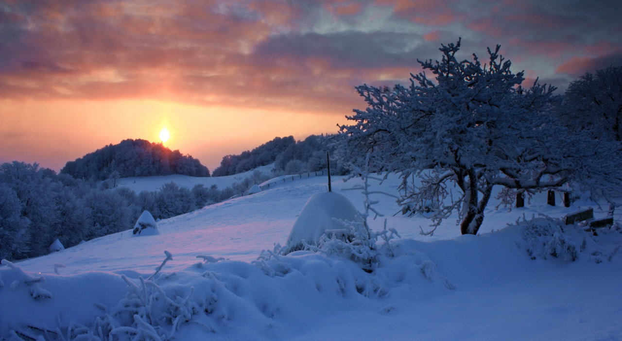 White sunset