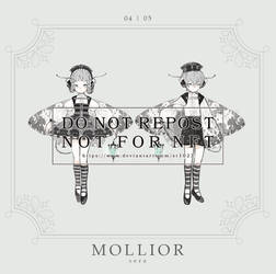 Mollior 04-05 Adoptable [CLOSED]