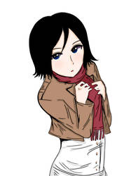 Mikasa