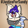 Justice for Sandy (Read Decription)