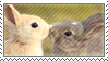 Bunny Stamp by beruruSTAR