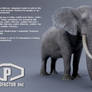 Elephant 3d Model