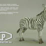 Zebra 3d Model