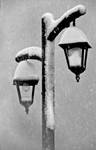 The Lamp-2 by berkerr