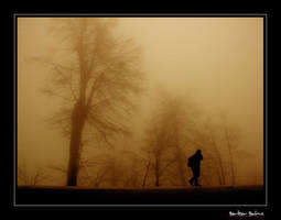 --fog--