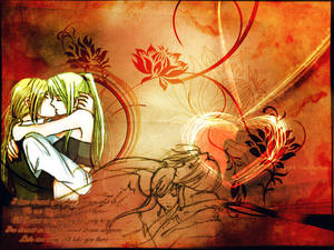 winry ed