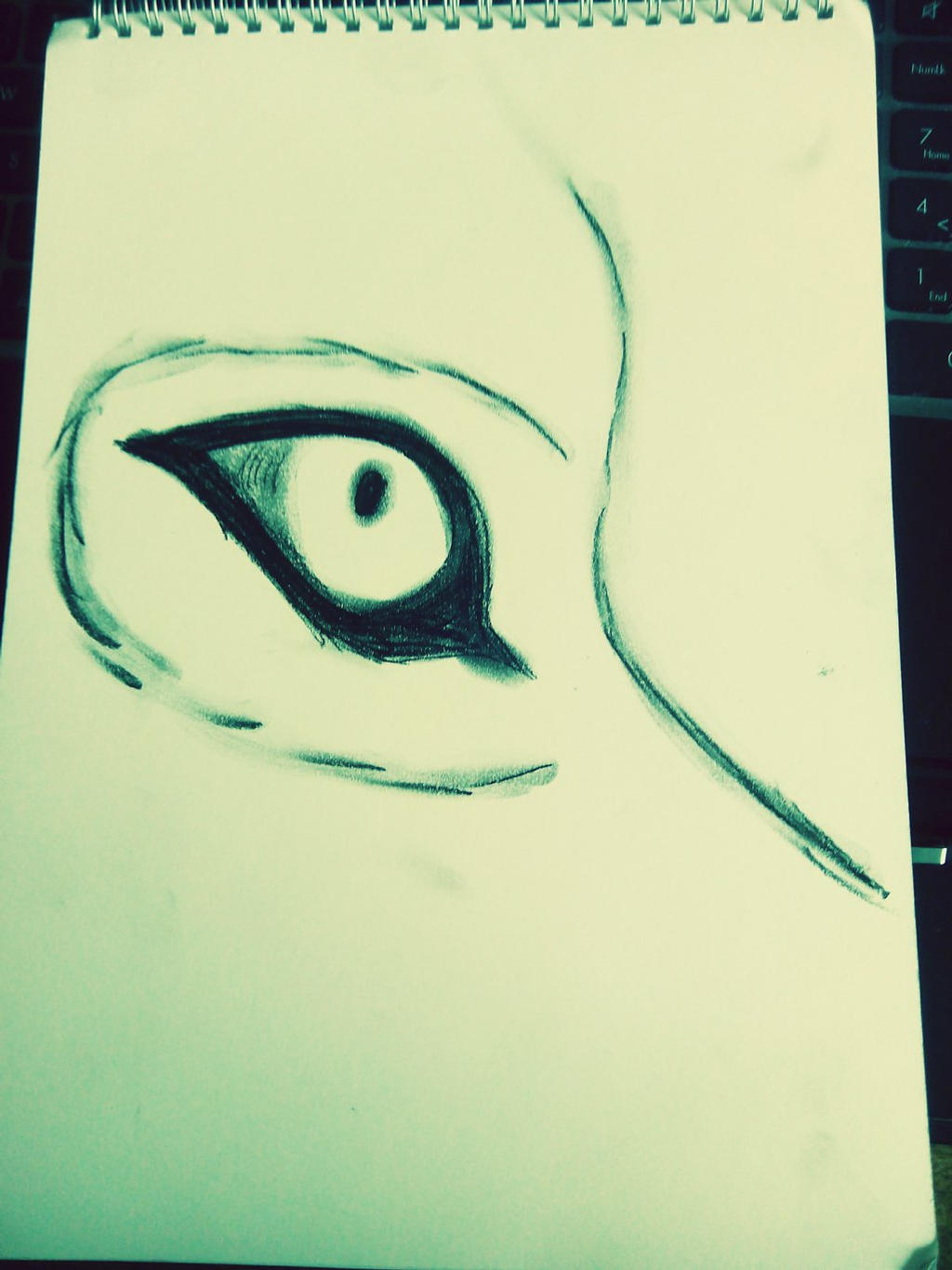 Wold eye 2