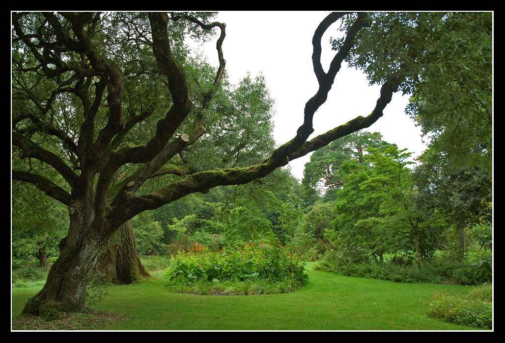 Birr Gardens