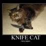 Motivational Poster- Knife Cat