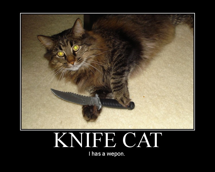 Motivational Poster- Knife Cat