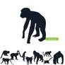 Monkeys silhouette
