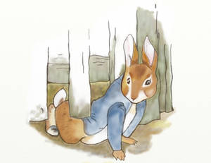 Peter Rabbit