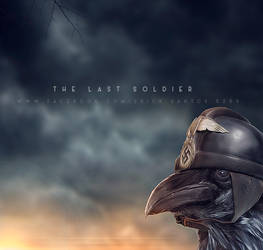 THE LAST SOLDIER