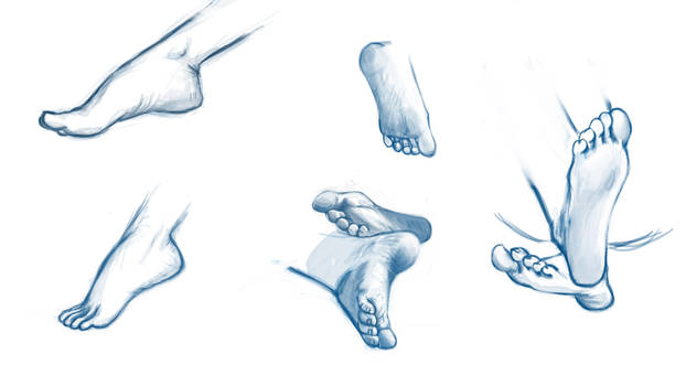 Feet Studies