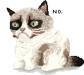 Grumpy Cat