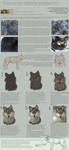 Tutorial: Painting Fur in PS by ToySkunk