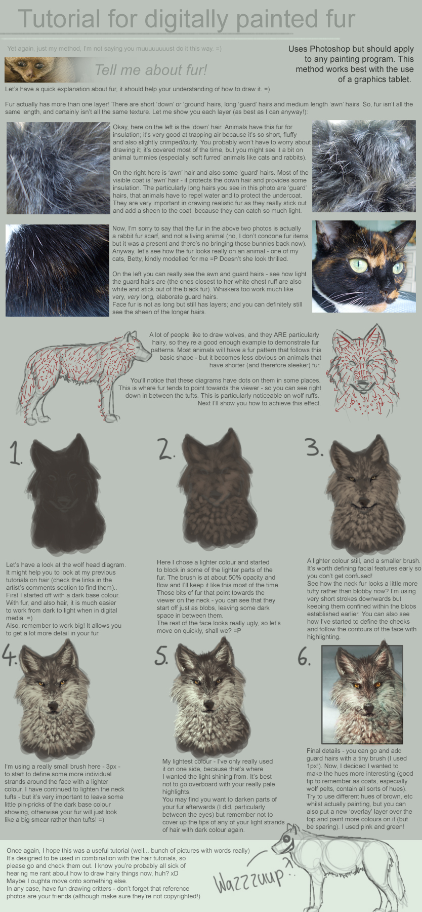 Tutorial: Painting Fur in PS