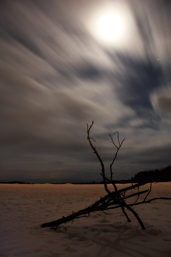 Clouds and branch