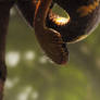 Snake Stock 3: Mangrove Snake