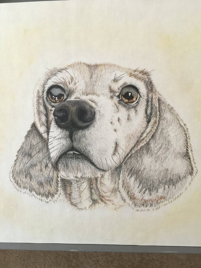 Sammers by CAstudios on DeviantArt