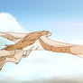 Flight - Animation
