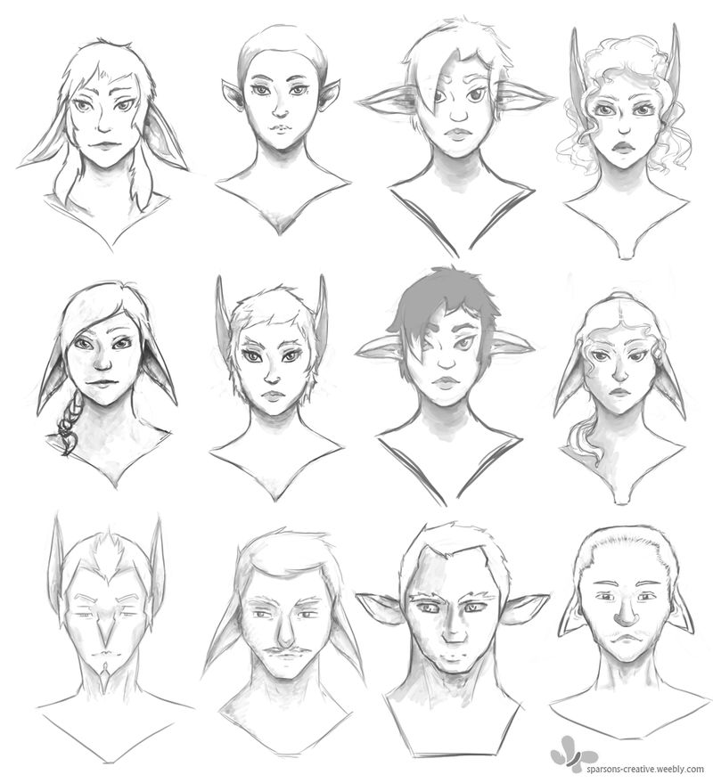 Bust Concepts