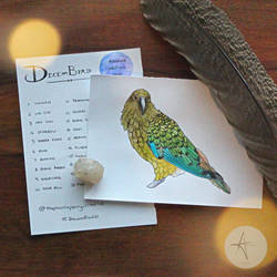 DecemBird 29 - Kea