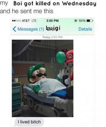 Luigi is alive bois