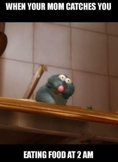 Ratatouille Meme by DelightfulDiamond7 on DeviantArt Ratatouille Meme by DelightfulDiamond7 on DeviantArt