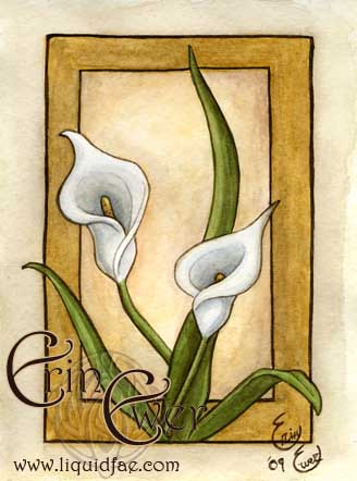 Calla Lily