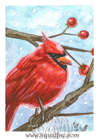 Cardinal ACEO