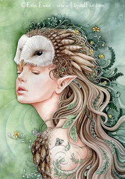 Owl Maiden