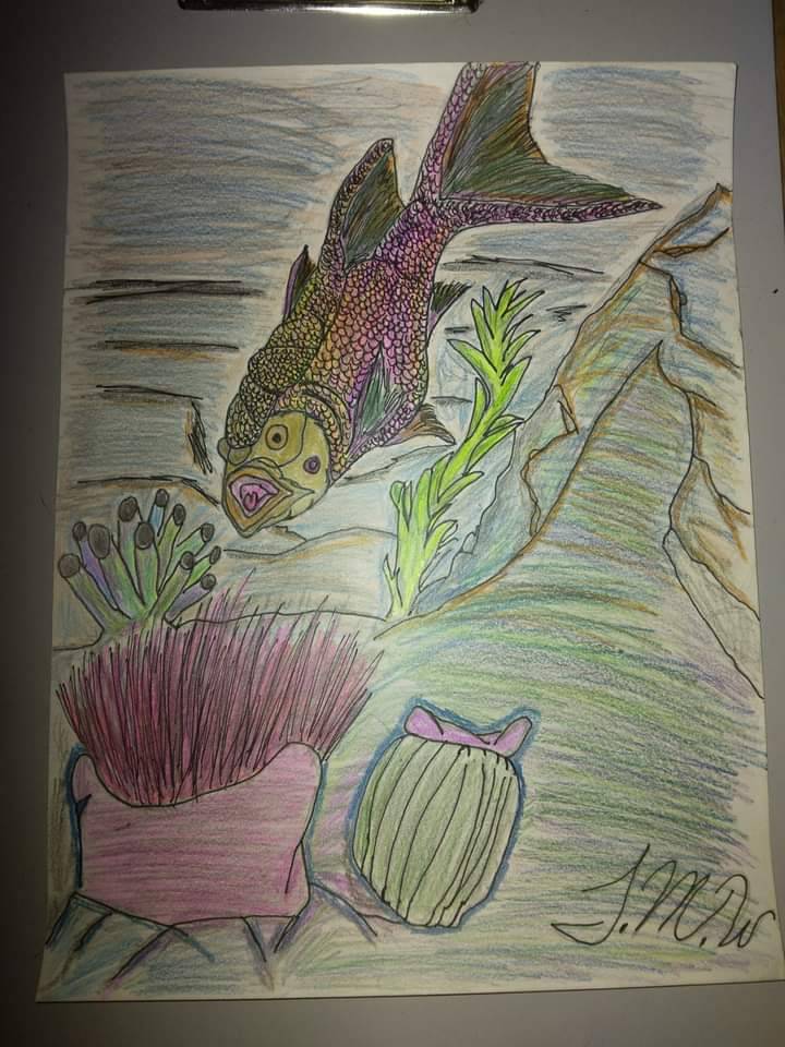 Random fish sketch by Arrowhill95 on DeviantArt