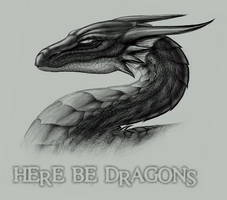 Here Be Dragons