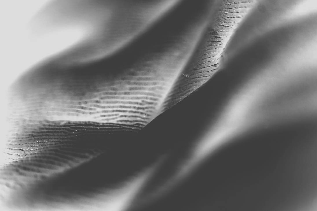 Inverted Hand by negativecal on DeviantArt