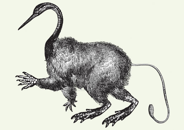 Appleton Creature creature 11 by puppetofgod on DeviantArt