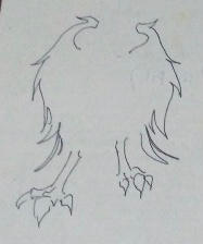 Bird Wings and Feet by PinkBunion on DeviantArt