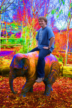 Dev ID My Colourful Elephant