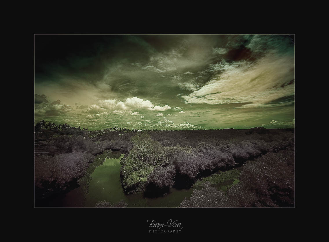 InfraRED - Mangrove Palace