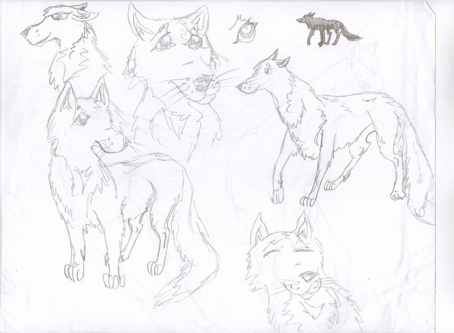 Wolves 4th Grade by Miahii on DeviantArt