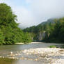 Gorges du Tarn