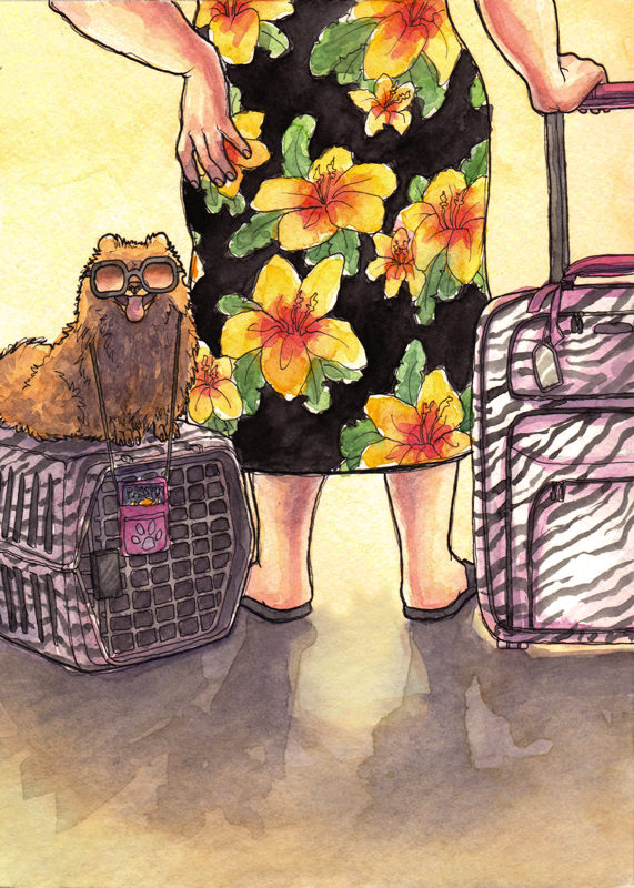 What to Know When Traveling With Your Pet