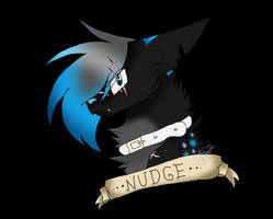 nudge badge