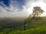 Another Maleny Shot by eye-of-tom